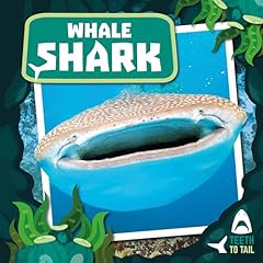 Whale shark teeth for sale  Delivered anywhere in UK