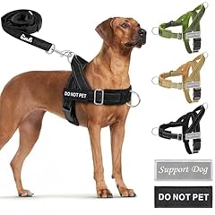 Eyein hundegeschirr leine gebraucht kaufen  Wird an jeden Ort in Deutschland