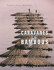 Caravanes bambous d'occasion  Livré partout en Belgiqu