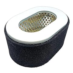 Hippotech filtro aria usato  Spedito ovunque in Italia 