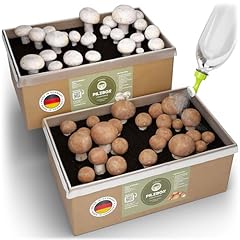 Hiwago komplettset champignon gebraucht kaufen  Wird an jeden Ort in Deutschland