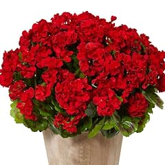 Waifomei bunches artificial for sale  Delivered anywhere in USA 