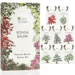 Bonsai samen set gebraucht kaufen  Wird an jeden Ort in Deutschland