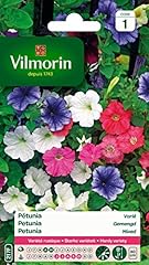 Vilmorin 5510541 pétunia d'occasion  Livré partout en France