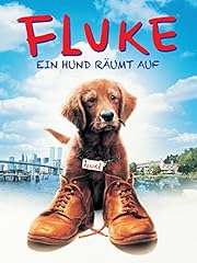 Fluke hund räumt gebraucht kaufen  Wird an jeden Ort in Deutschland