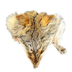 Real coyote head for sale  Delivered anywhere in USA 