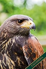 Falconeria poiana del usato  Spedito ovunque in Italia 