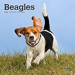 Beagles 2024 inch for sale  Delivered anywhere in USA 