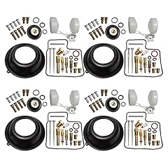 Sets carburetor repair for sale  Delivered anywhere in USA 