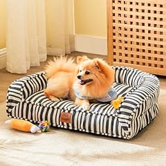 Chixnuggle cute dog for sale  Delivered anywhere in USA 