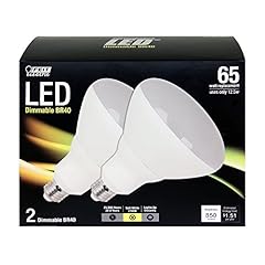 Feit br40 ledg3 for sale  Delivered anywhere in USA 