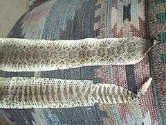 Real rattlesnake skin for sale  Delivered anywhere in USA 