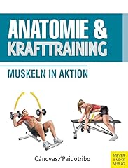 Anatomie krafttraining muskeln gebraucht kaufen  Wird an jeden Ort in Deutschland