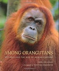 Among orangutans red for sale  Delivered anywhere in UK
