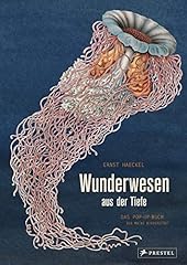 Wunderwesen tiefe ernst gebraucht kaufen  Wird an jeden Ort in Deutschland