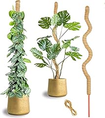 Tslolly long moss for sale  Delivered anywhere in UK