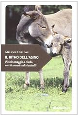 Ritmo dell asino. usato  Spedito ovunque in Italia 