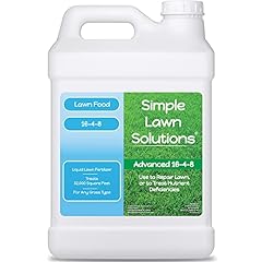 Advanced lawn fertilizer for sale  Delivered anywhere in USA 