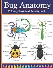 Bug anatomy coloring for sale  Delivered anywhere in USA 