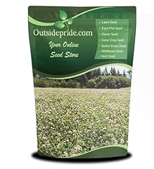 Outsidepride perennial white for sale  Delivered anywhere in USA 