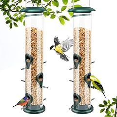 Vivace pack bird for sale  Delivered anywhere in USA 