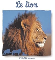 Lion d'occasion  Livré partout en France
