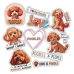 Red toy poodle for sale  Delivered anywhere in USA 