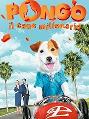 Pongo cane milionario usato  Spedito ovunque in Italia 