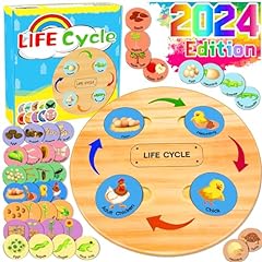 Heykiddo life cycle for sale  Delivered anywhere in USA 