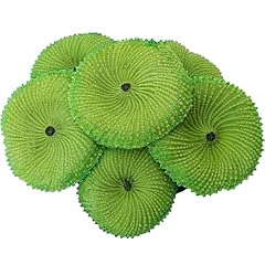 Bulevina green coral for sale  Delivered anywhere in USA 