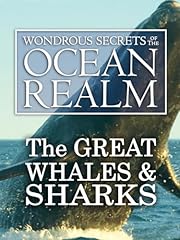 Wondrous secrets ocean for sale  Delivered anywhere in USA 