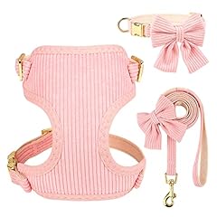 Didog cute small for sale  Delivered anywhere in USA 