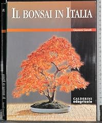 Bonsai italia usato  Spedito ovunque in Italia 