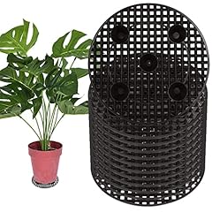 Eatheaty pcs plant for sale  Delivered anywhere in USA 