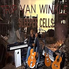 Trip van winkle for sale  Delivered anywhere in UK