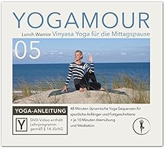 Basic vinyasa yoga gebraucht kaufen  Wird an jeden Ort in Deutschland