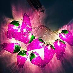 Fruit string lights for sale  Delivered anywhere in USA 