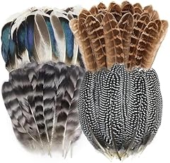 40pcs natural pheasant for sale  Delivered anywhere in USA 