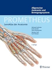Prometheus lernatlas anatomie gebraucht kaufen  Wird an jeden Ort in Deutschland