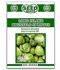 Long island brussels for sale  Delivered anywhere in USA 