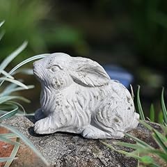 Casagiardino rabbit garden for sale  Delivered anywhere in USA 