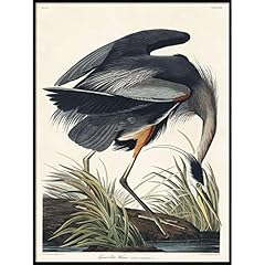 Vintago great blue for sale  Delivered anywhere in USA 