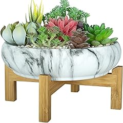 Artketty succulent pot for sale  Delivered anywhere in USA 