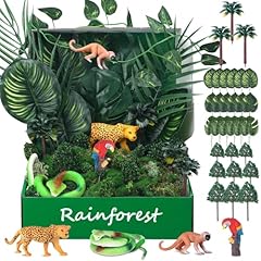 Miniinflat rainforest diorama for sale  Delivered anywhere in USA 