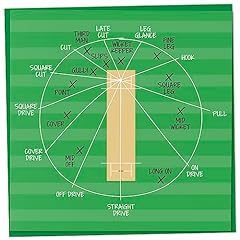 Cricket fielding positions for sale  Delivered anywhere in UK