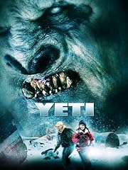 Yeti d'occasion  Livré partout en France