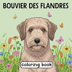 Bouvier des flandres for sale  Delivered anywhere in UK
