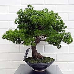 Leaf artificiale bonsai usato  Spedito ovunque in Italia 