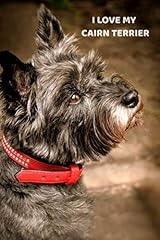 Love cairn terrier for sale  Delivered anywhere in Ireland