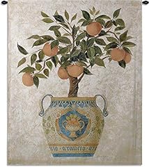 Italian orange tree for sale  Delivered anywhere in USA 